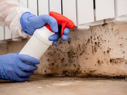 Best Mold Odor Removal Services  in Sweetser, IN